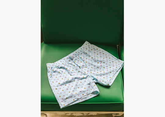 Light Blue Doghouse slim fit boxer (orange with small icons like dog house, golf clubs, card etc) sitting on a green chair.