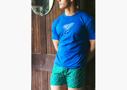 Man wearing a blue shirt and green Doghouse slim fit boxer (green  with small icons like dog house, golf clubs, card etc) standing in front of wooden wall