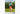 Man standing outside wearing green sleeveless top (lifting it up in photo) and orange Doghouse slim fit boxer (orange with small icons like dog house, golf clubs, card etc)