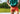 Image of product: Slim Fit Boxer ~ Orange Doghouse - type Pack