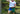 Man standing in forest wearing white t-shirt and blue/green/yellow colored mesh shorts.