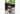Back short of man walking next to cabins holding sandals and wearing white mesh shorts.