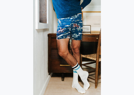 Close up of man standing in bedroom wearing navy blue crewneck and navy slim fit boxers with horses, trees, and clouds.