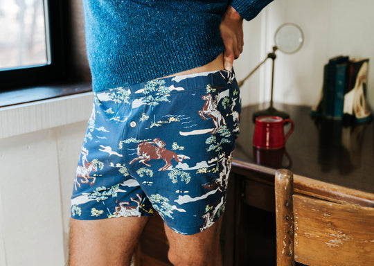 Image of product: Slim Fit Boxer ~ Navy Rodeo - type Pack