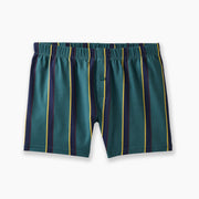 Green/yellow striped slim fit boxer on light grey background.