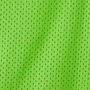 Macro detail texture of melon outer mesh.