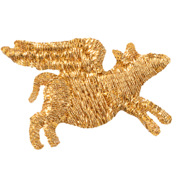Flying Pig